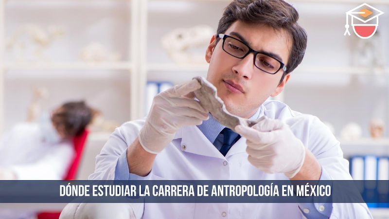 dónde estudiar la carrera de antropología en México