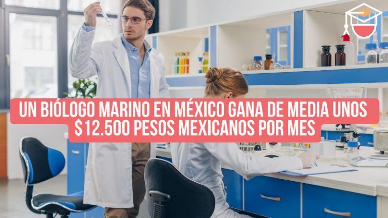 Cuánto gana un biólogo marino en México 2024 y qué estudiar