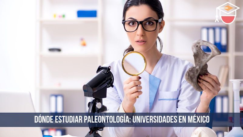 dónde estudiar paleontología en México